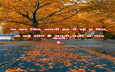 had shayari hindi Download